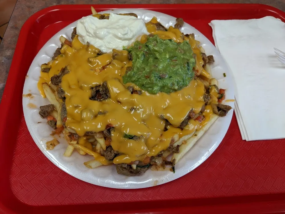 Carne Asada Fries